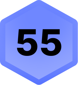 Level 55